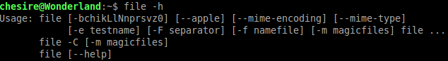 -h is commonly called the help switch. It displays basic help informatio