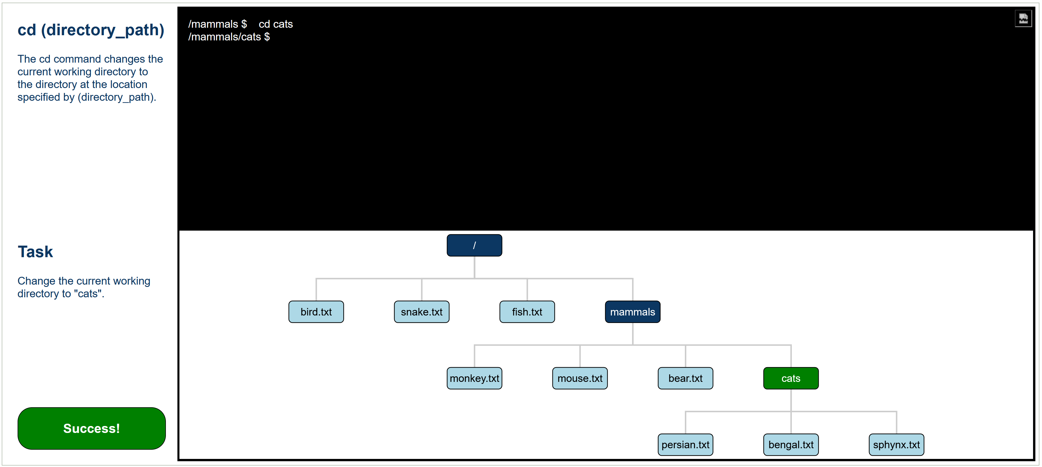 Command Line Exercise