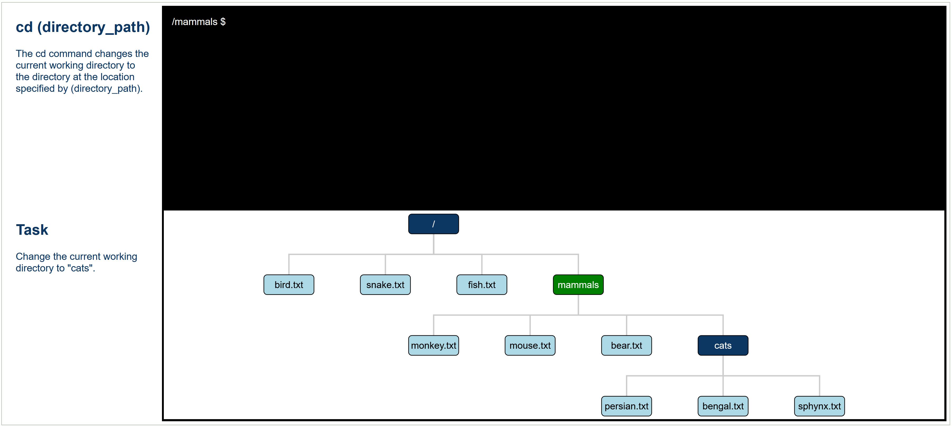 Command Line Exercise